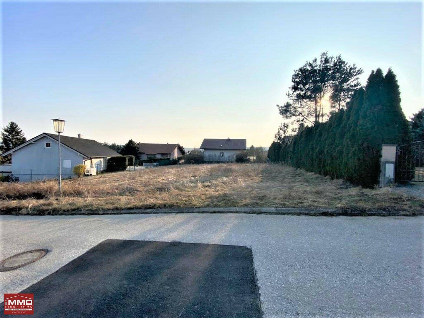 Weitläufiges Grundstück mit Blick auf die Nachbarschaft und einen hohen Nadelbaum.