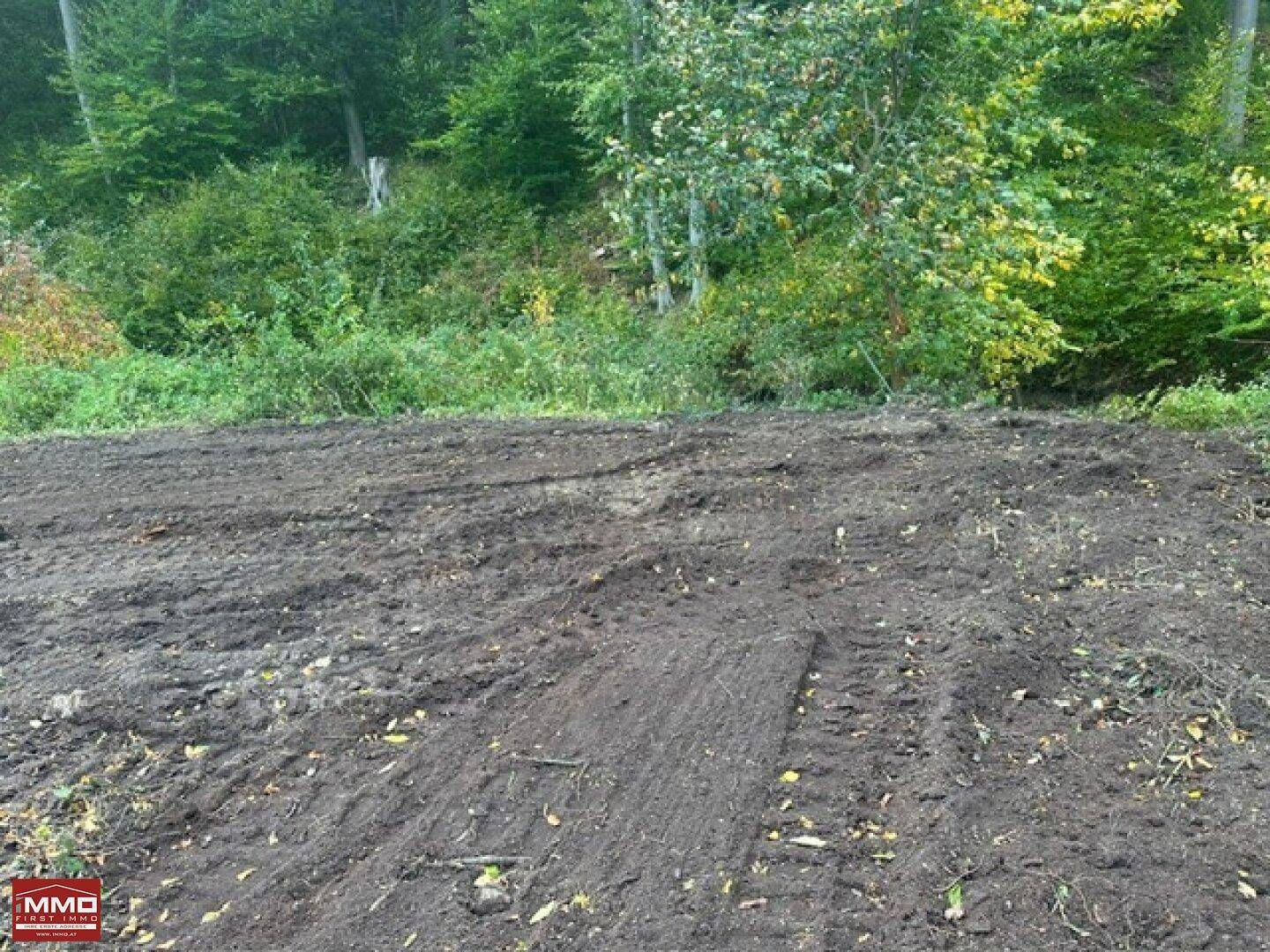 Gerodetes Grundstück mit Erdboden und umgebender Vegetation unter bewölktem Himmel.