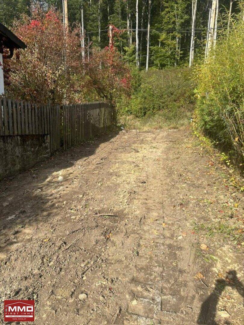 Unbefestigter Weg mit Holzzaun und üppiger Vegetation im ländlichen Bereich.