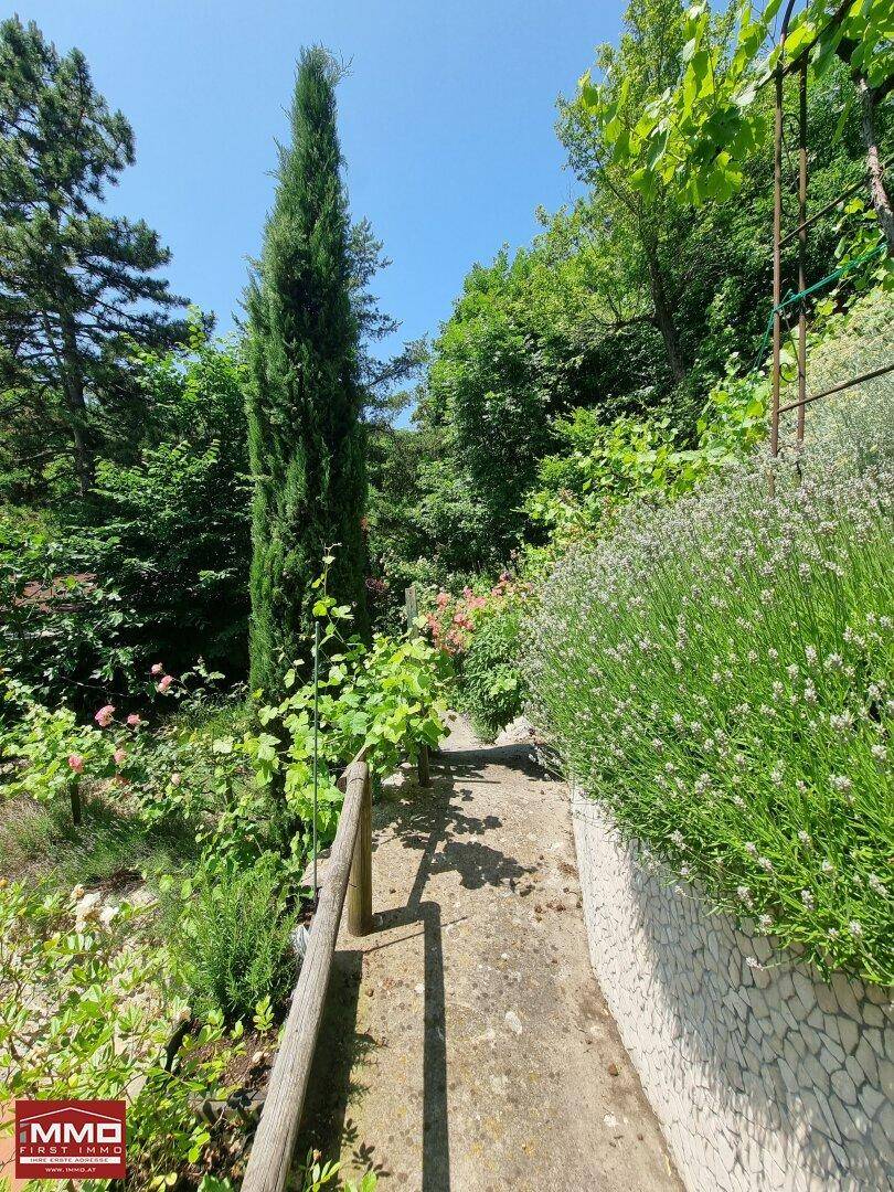 Verwunschener Gartenweg, gesäumt von blühenden Pflanzen und einem hohen Baum.