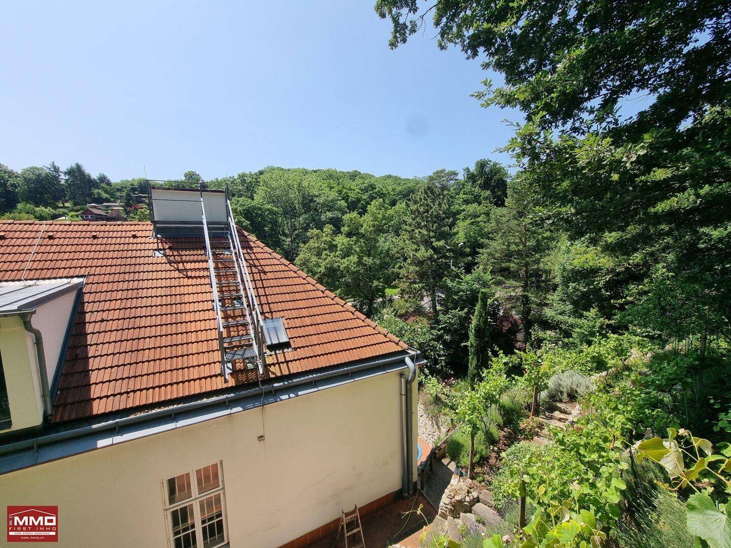 Dachansicht des Hauses mit Ziegeln und einer Leiter, umgeben von grünen Bäumen.