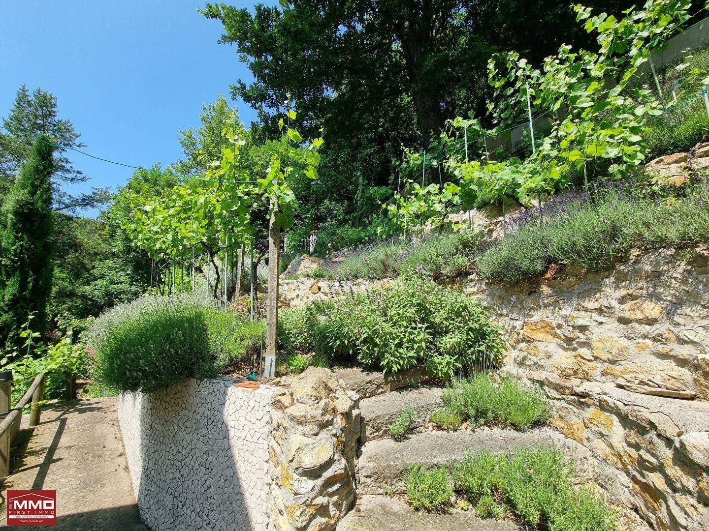 Terrassierter Gartenweg mit Steinmauern, Stufen und mediterranen Pflanzen unter blauem Himmel.