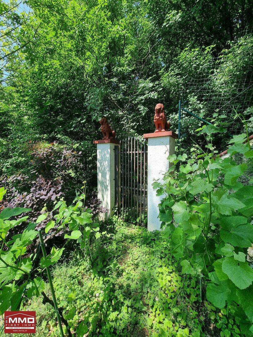 Verstecktes Gartentor, umgeben von üppigem Grün und wilder Vegetation, führt in den Garten.