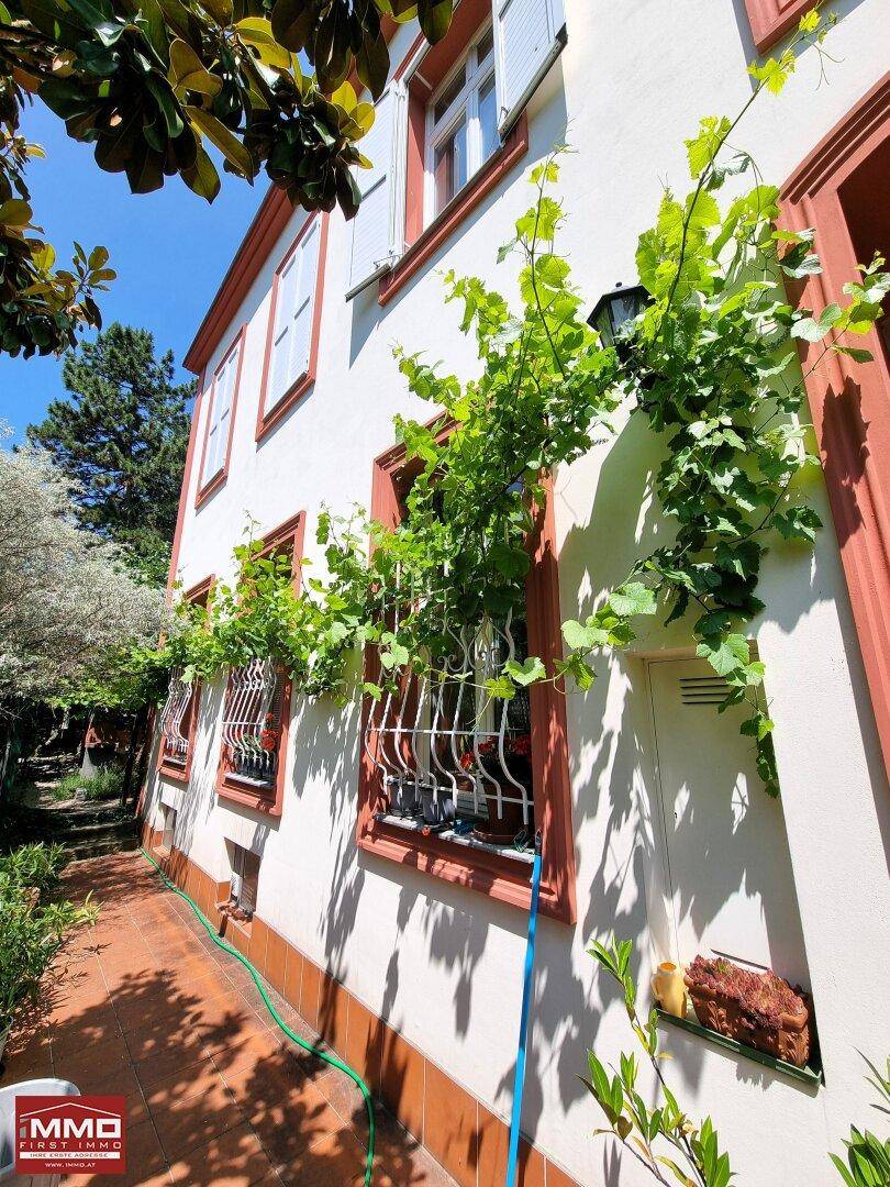 Seitenansicht des Hauses mit bewachsenen Fenstern und einem schmalen, sonnigen Weg.