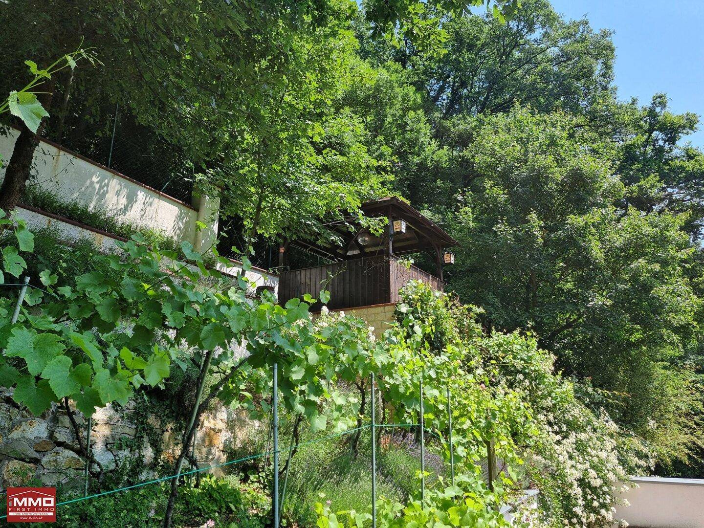 Idyllischer Garten mit Weinreben, blühenden Sträuchern und einem charmanten Gartenpavillon.