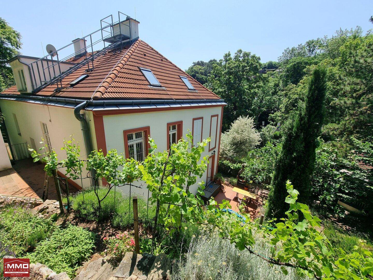 Panoramablick auf das Haus und den terrassierten Garten mit Weinreben und Bäumen.