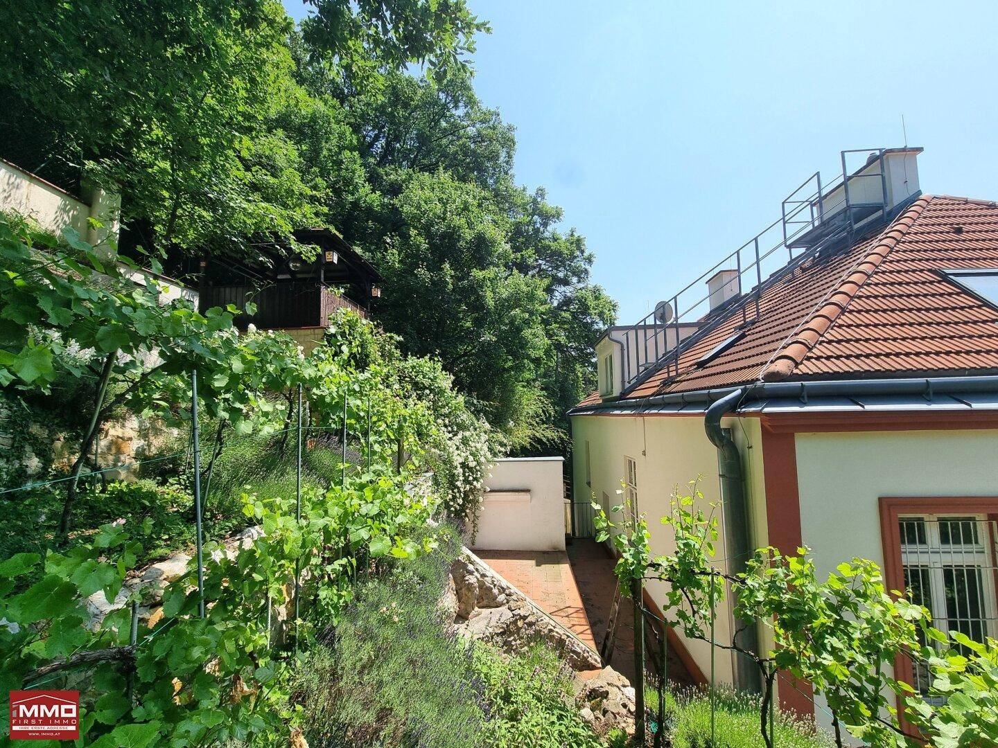 Terrassierter Gartenbereich mit üppiger Vegetation und einem charmanten Weg durch die Natur.