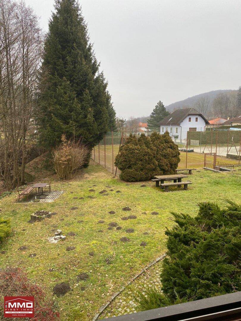 Weitläufiger Garten mit Rasen, hohen Nadelbäumen und einem Tennisplatz im Hintergrund.