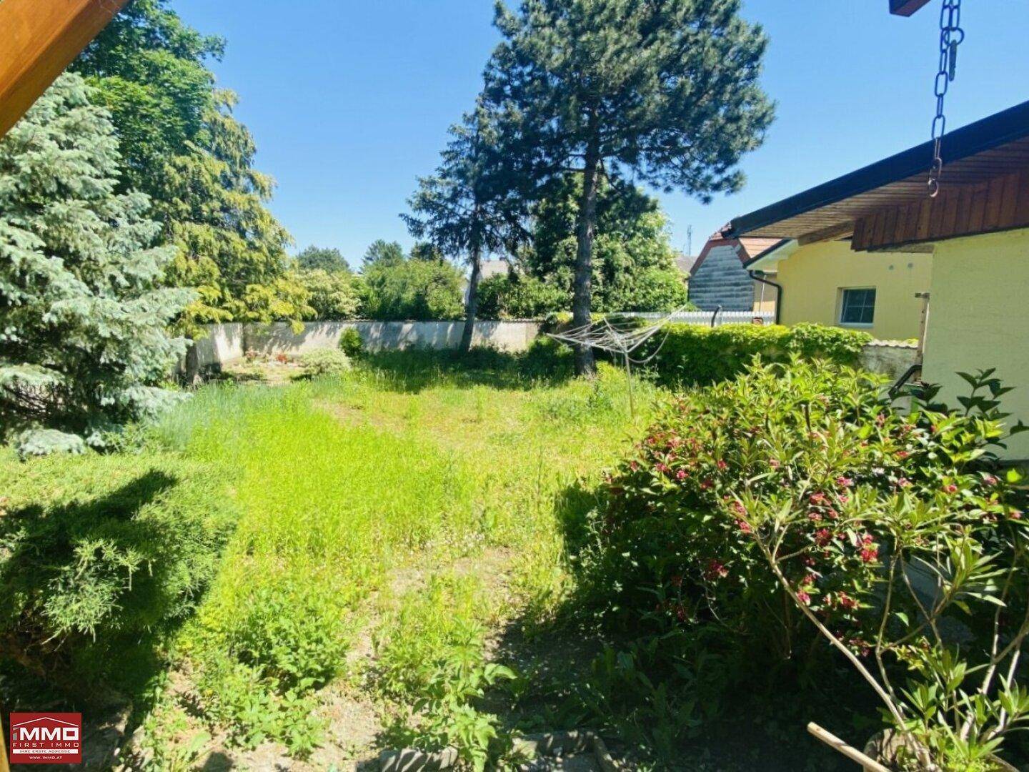 Großer, naturbelassener Gartenbereich mit viel Grün und hohen Bäumen im Hintergrund.