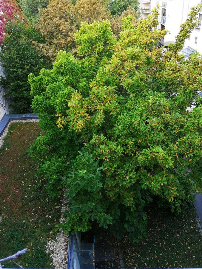 zwischen Innenstadt und Wienerwald - Döblinger Hauptstrasse- Billrothstrasse - Wien, Wien