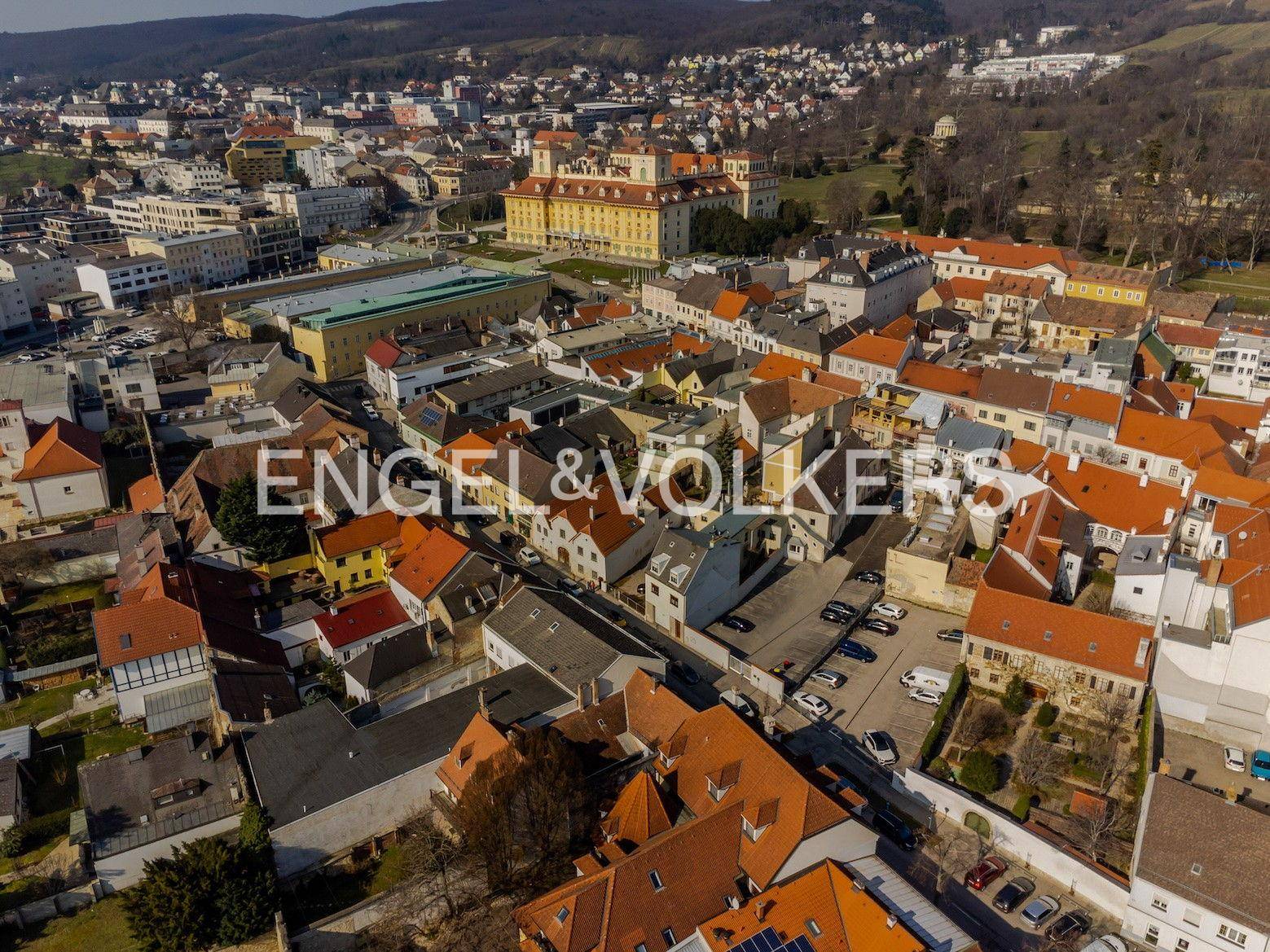 Ansicht mit dem Schloss Esterhazy