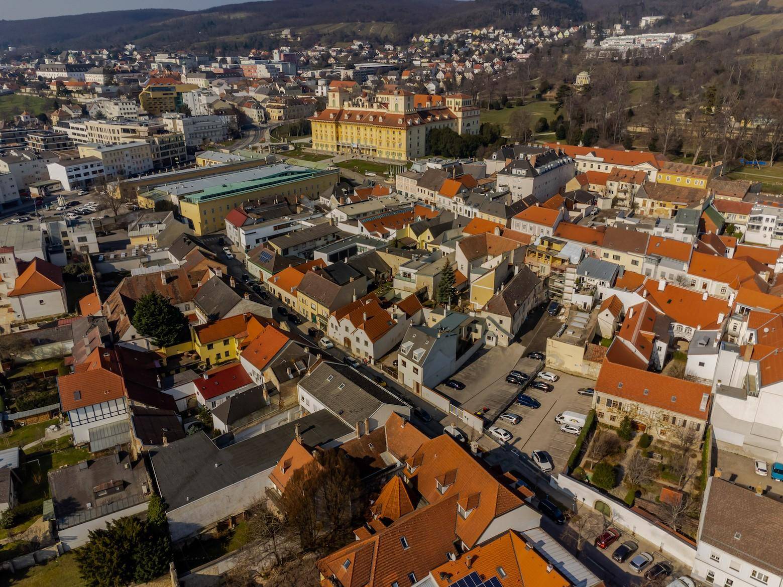 Ansicht mit dem Schloss Esterhazy