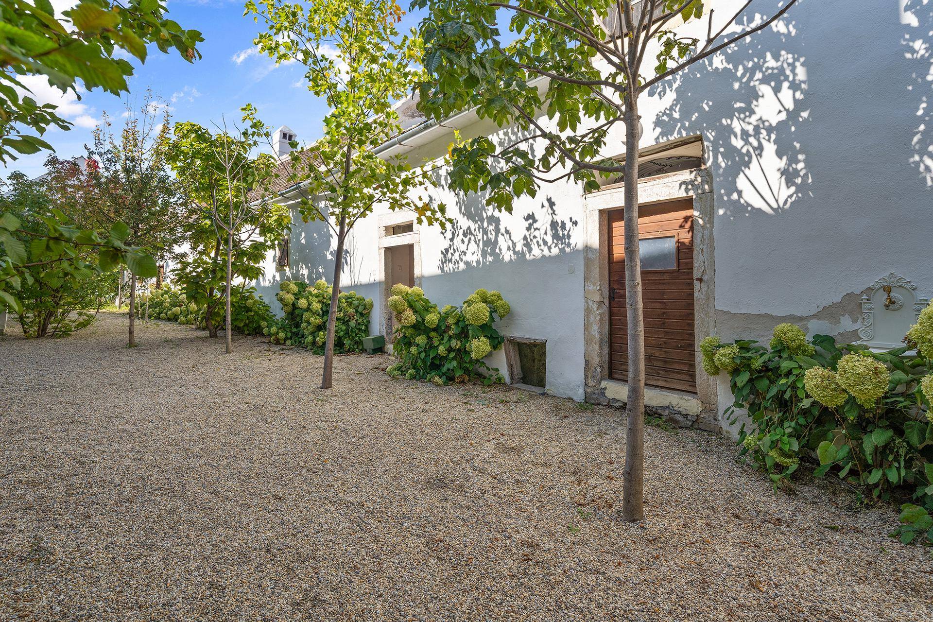 Gepflegter Gartenbereich mit Kiesweg, jungen Bäumen und blühenden Hortensien entlang der Fassade.