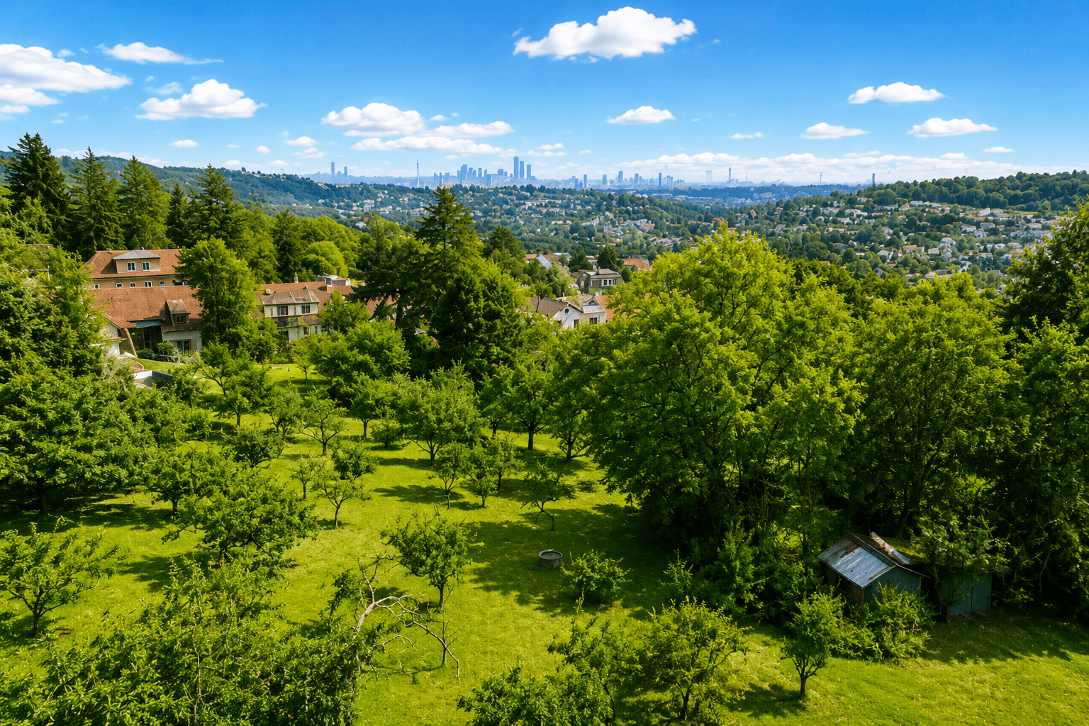 Weitläufiger Obstgarten mit jungen Bäumen und Blick auf die Stadt am Horizont.