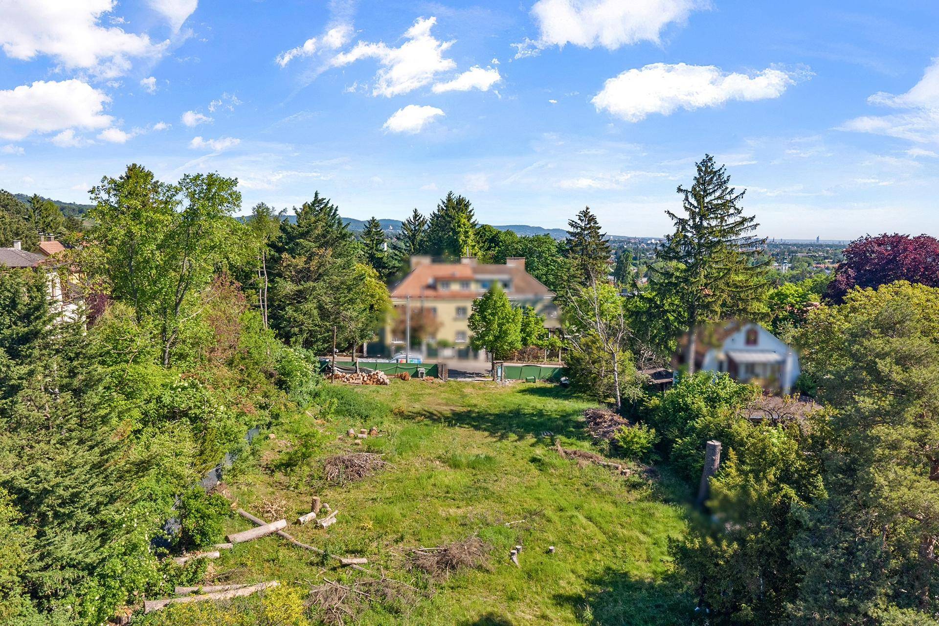 Weitläufiges grünes Grundstück mit Baumbestand und einem Haus im Hintergrund unter blauem Himmel.