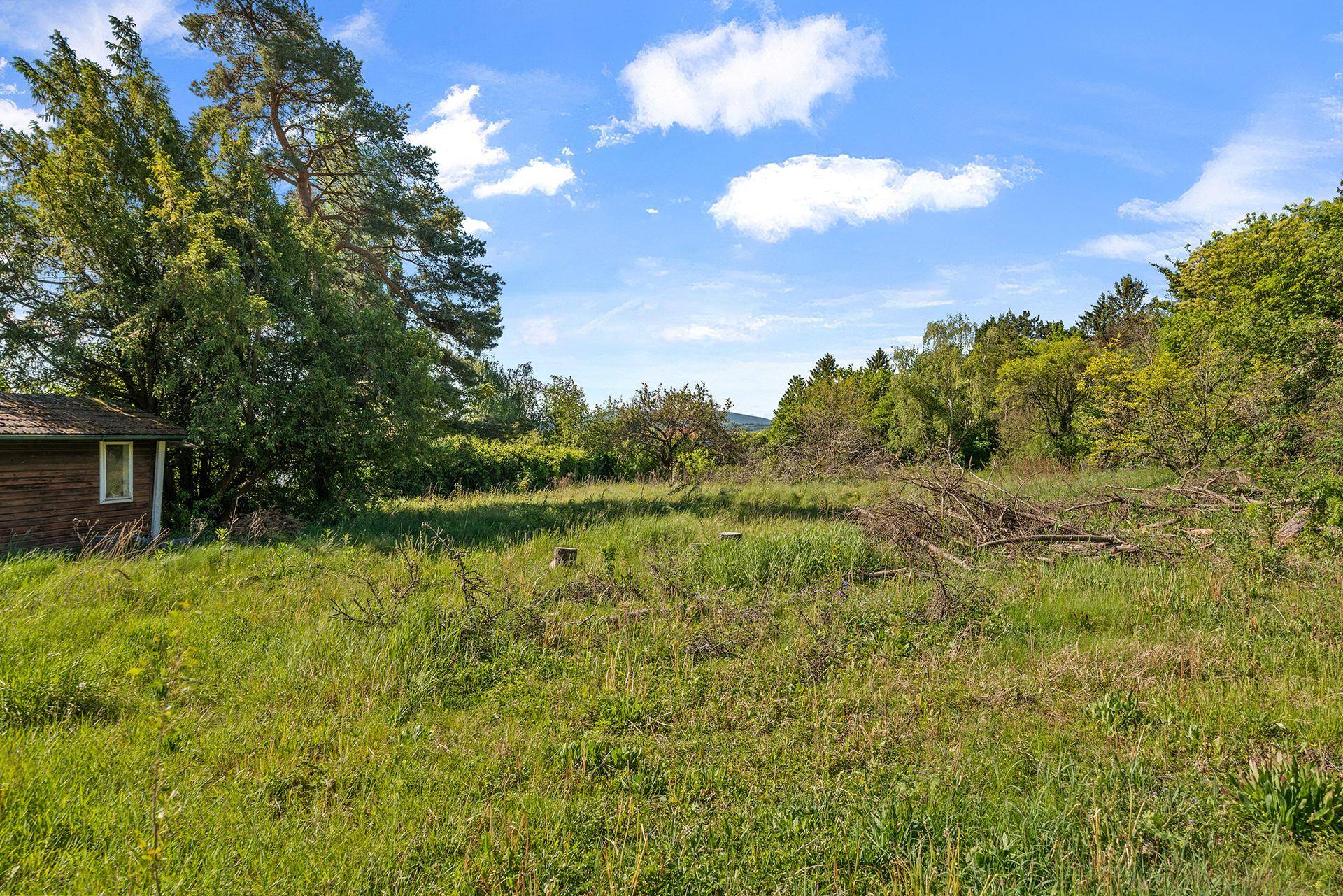 Naturbelassenes Grundstück mit hohem Gras, einem kleinen Holzschuppen und altem Baumbestand.