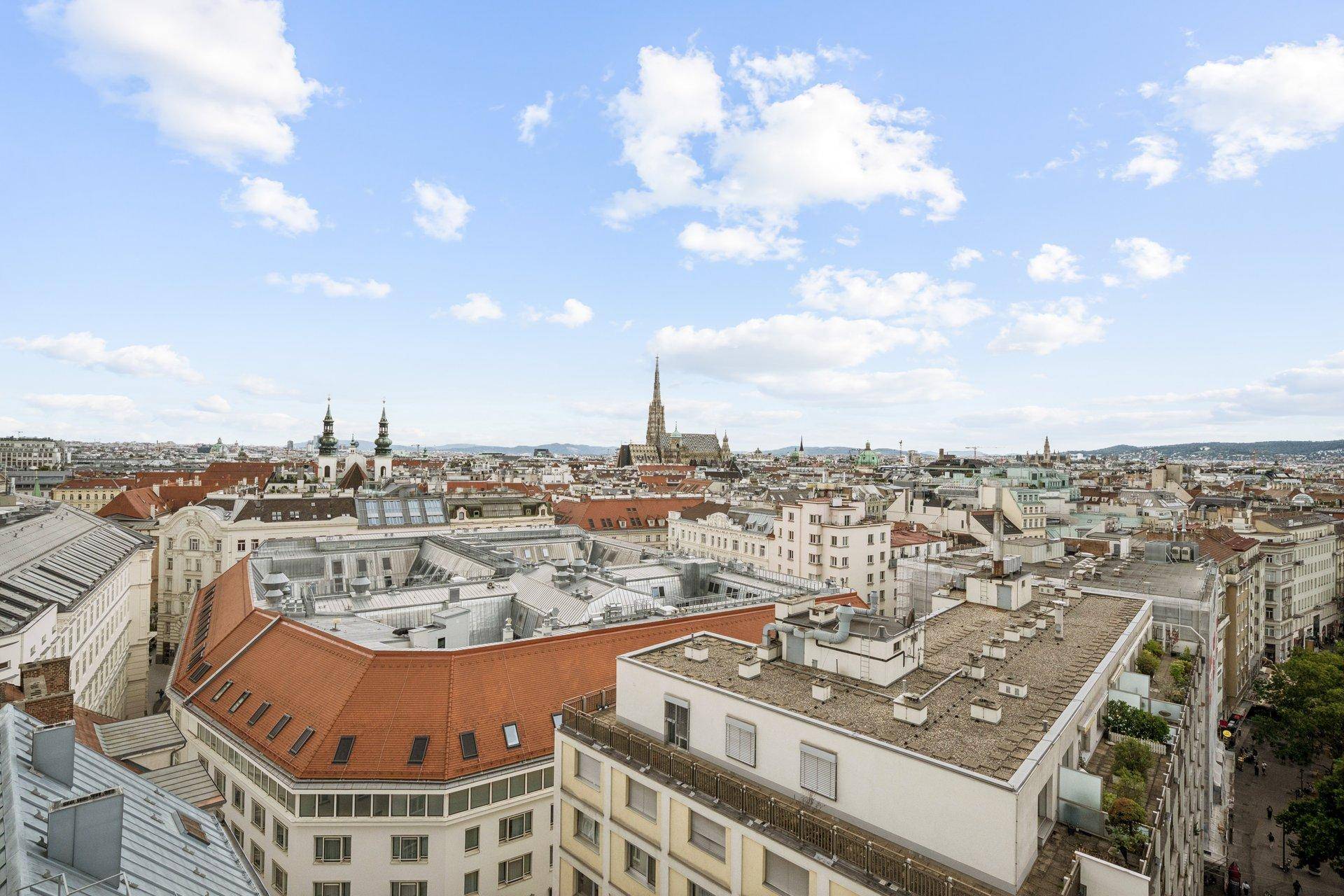 Panoramablick über die Dächer Wiens mit historischen Gebäuden und blauem Himmel.