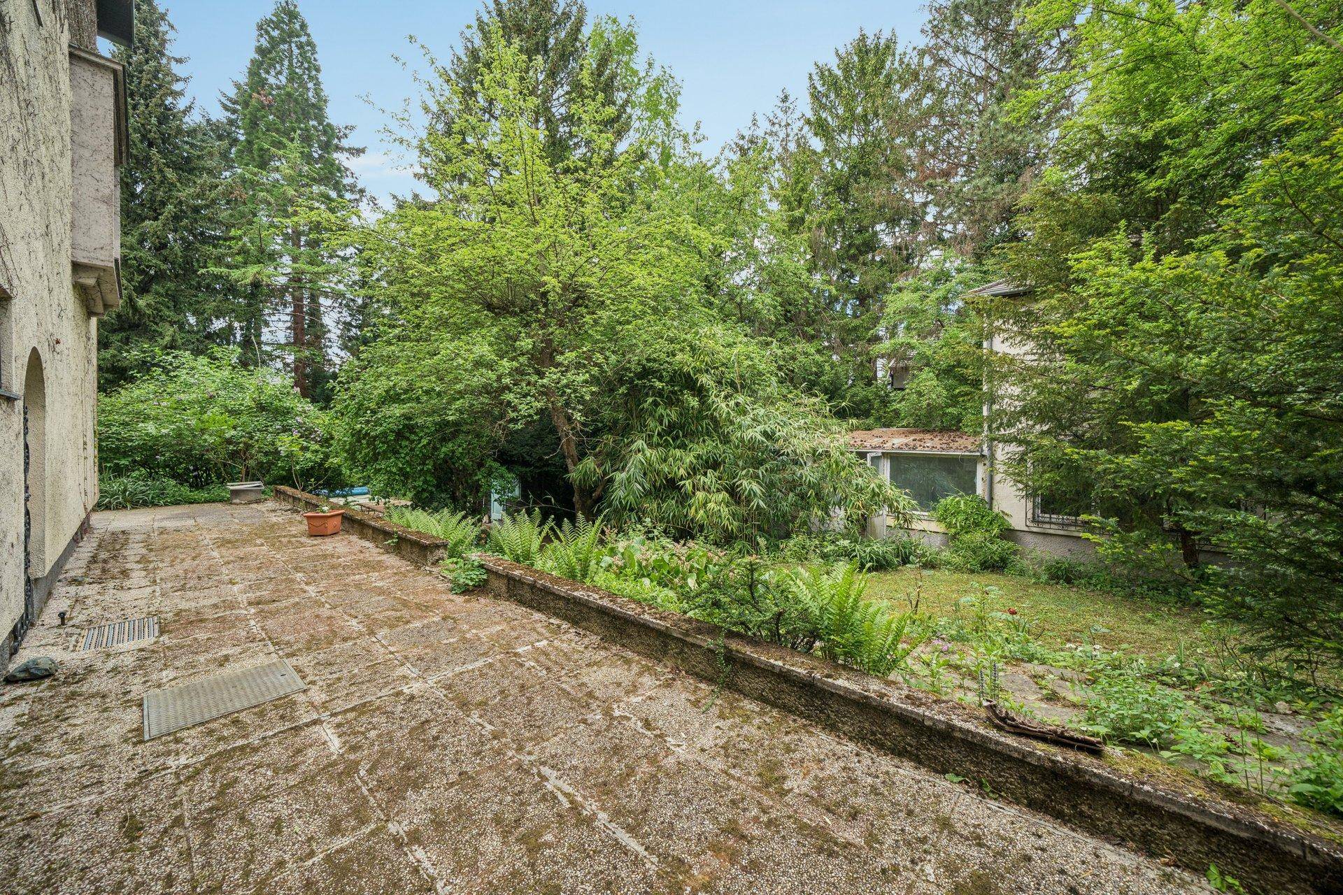 Geräumige, gepflasterte Terrasse mit Blick auf den naturbelassenen Garten und hohe Bäume.