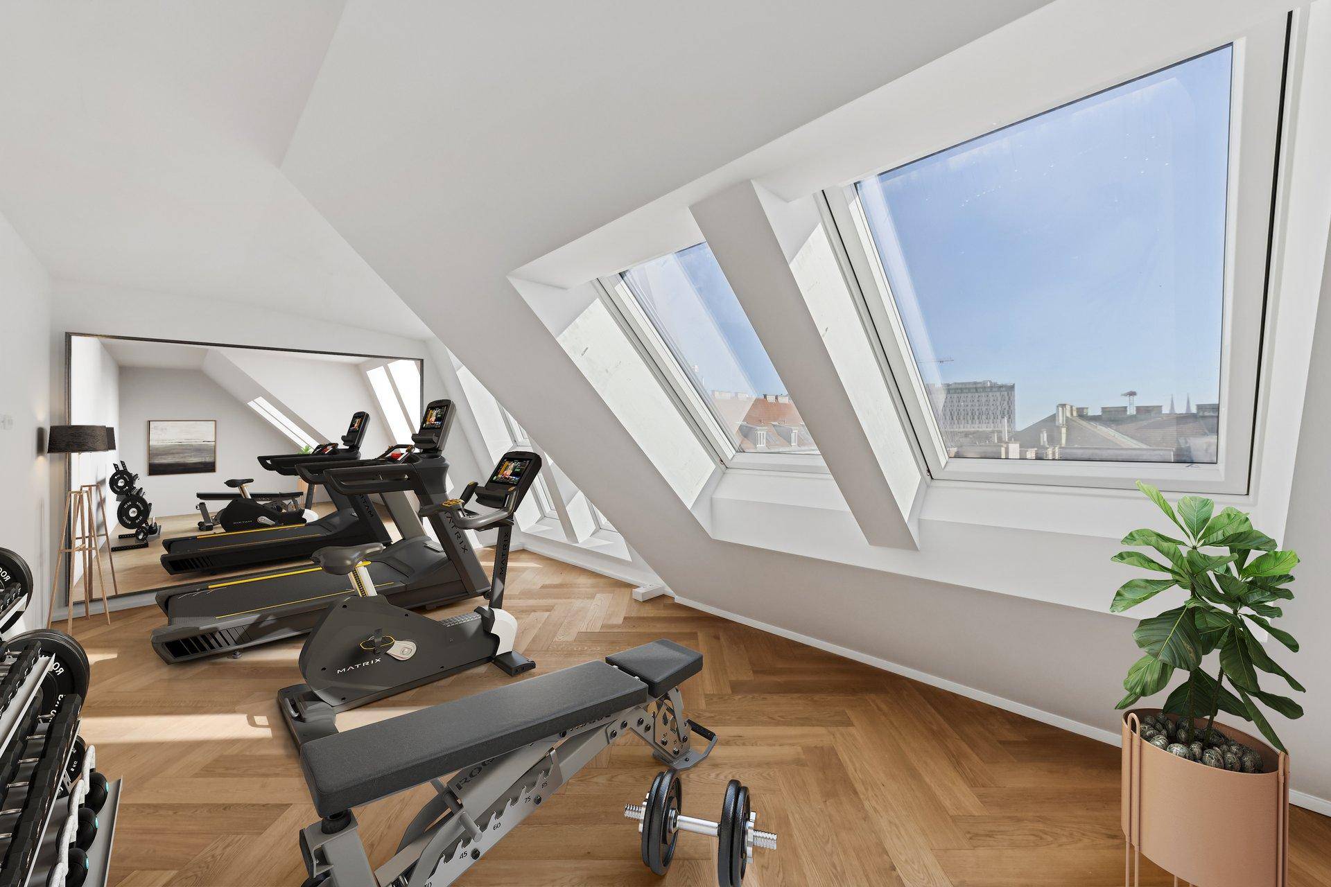 Privater Fitnessraum mit Trainingsgeräten und viel Tageslicht durch Dachfenster.