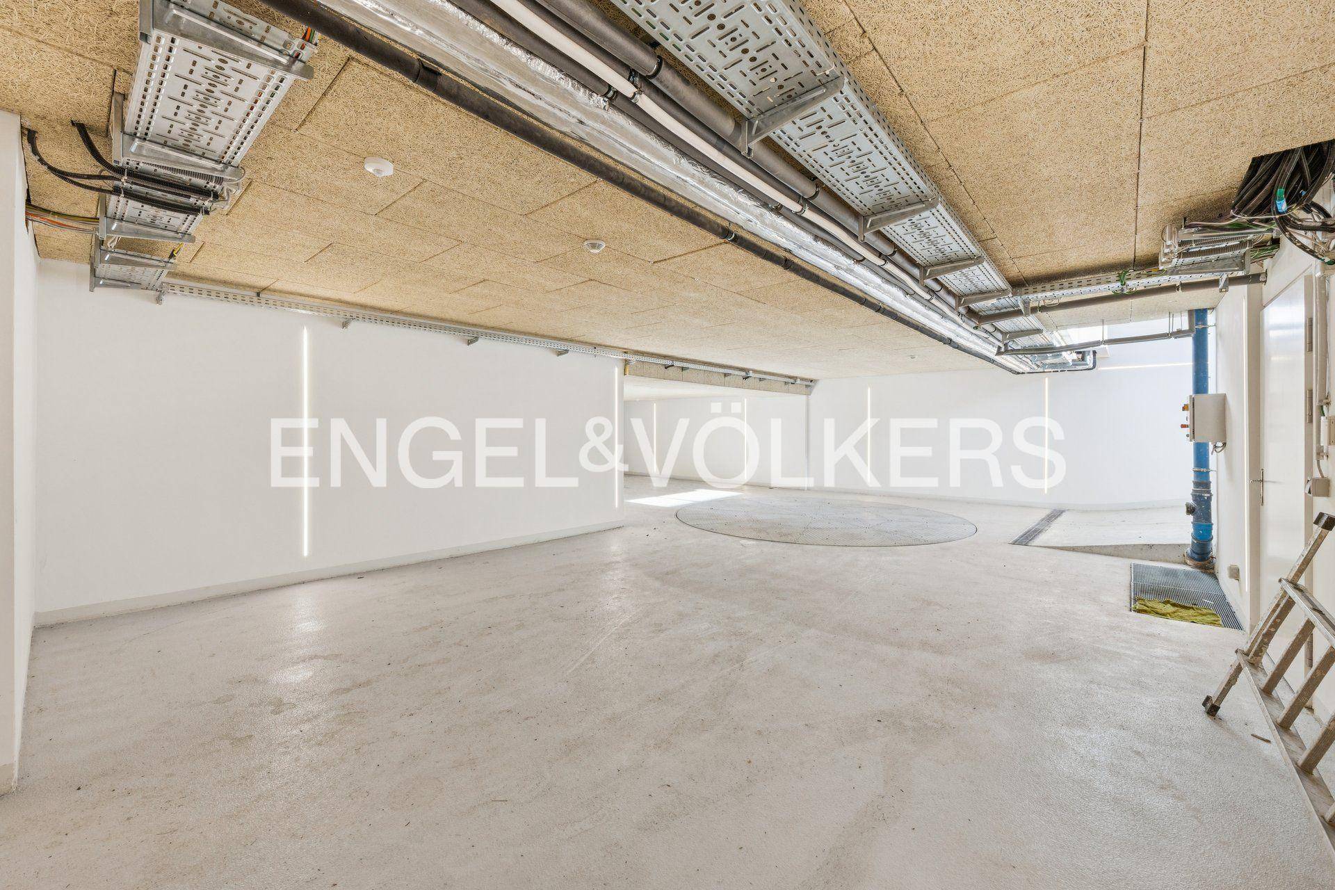 Geräumiger Kellerraum mit Betonboden und sichtbarer Deckeninstallation, ideal für Technik.