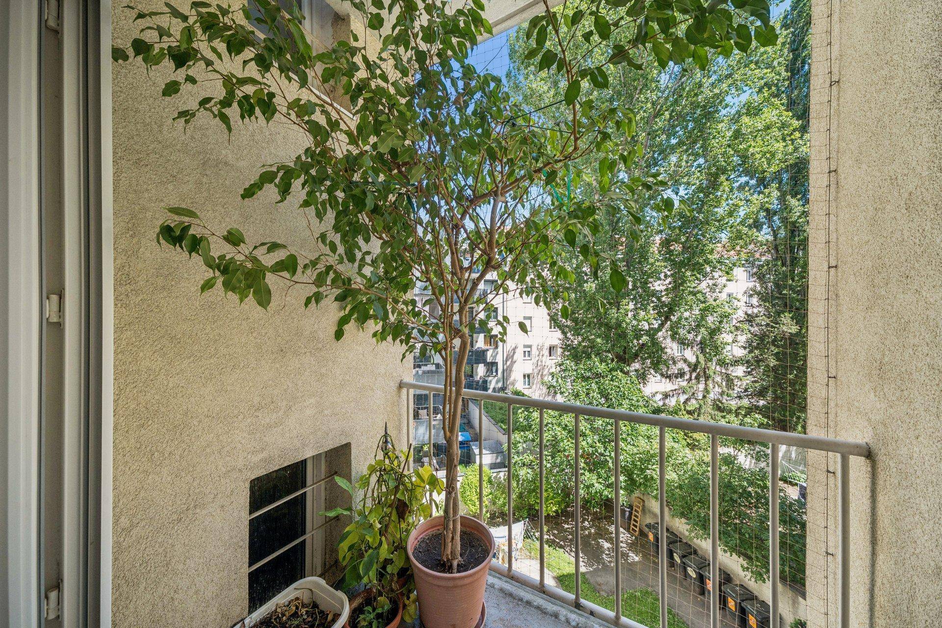 Kleiner Balkon mit Topfpflanze und Blick auf den begrünten Innenhof.
