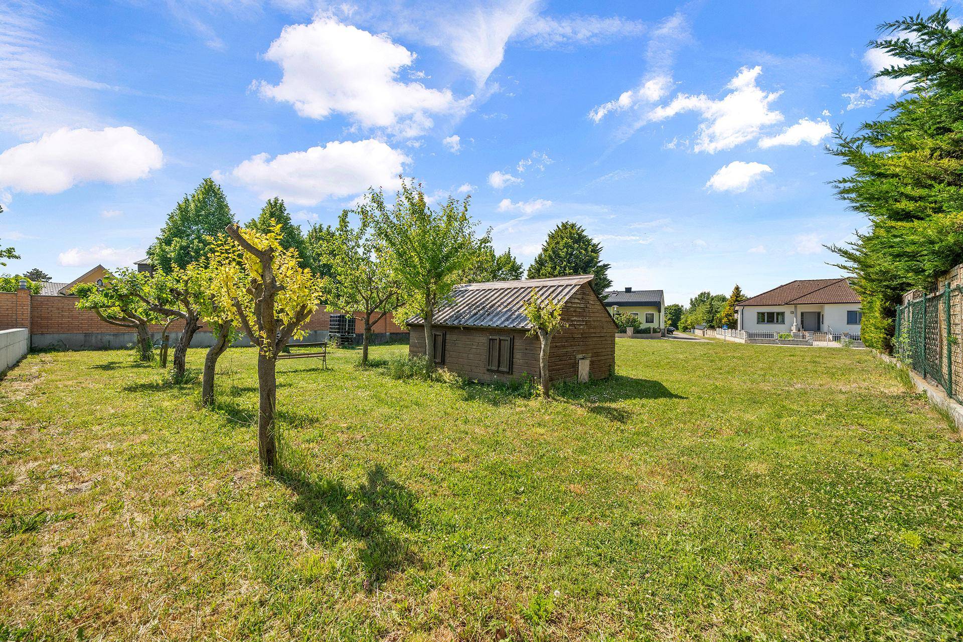 Großes Gartengrundstück mit Rasenfläche, jungen Bäumen und einem kleinen Holzschuppen unter blauem Himmel.