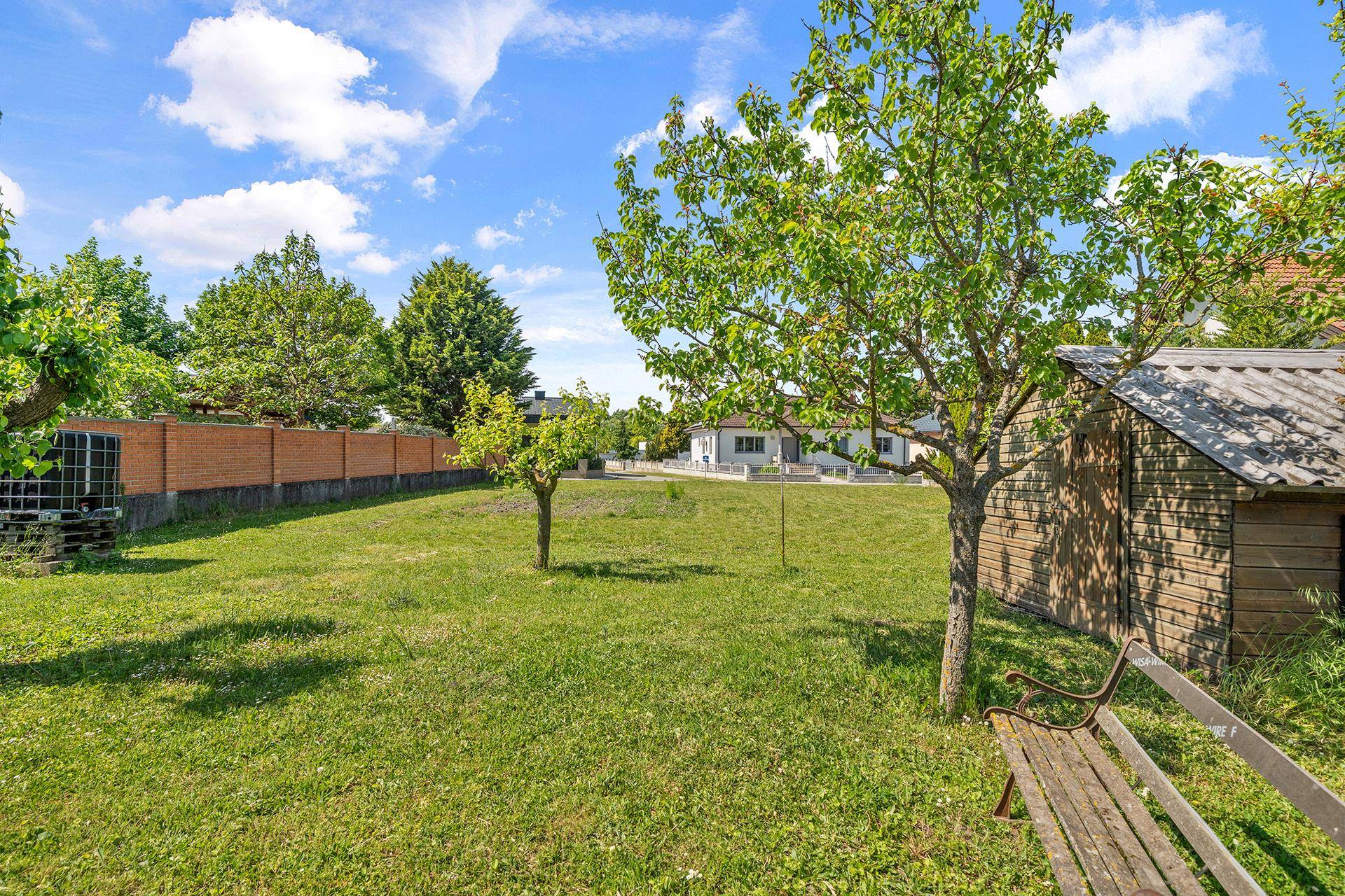 Grüner Gartenbereich mit jungen Bäumen, einem Holzschuppen und einer rustikalen Holzbank.