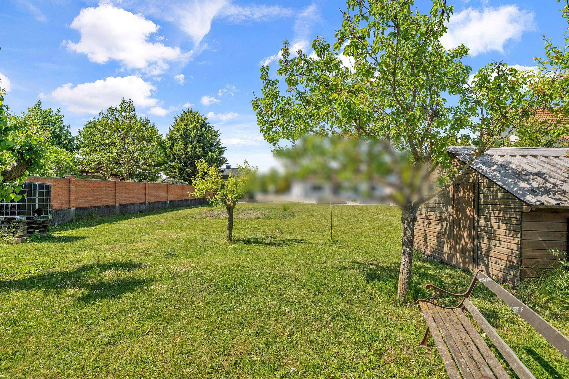 Grüner Gartenbereich mit jungen Bäumen, einem Holzschuppen und einer rustikalen Holzbank.