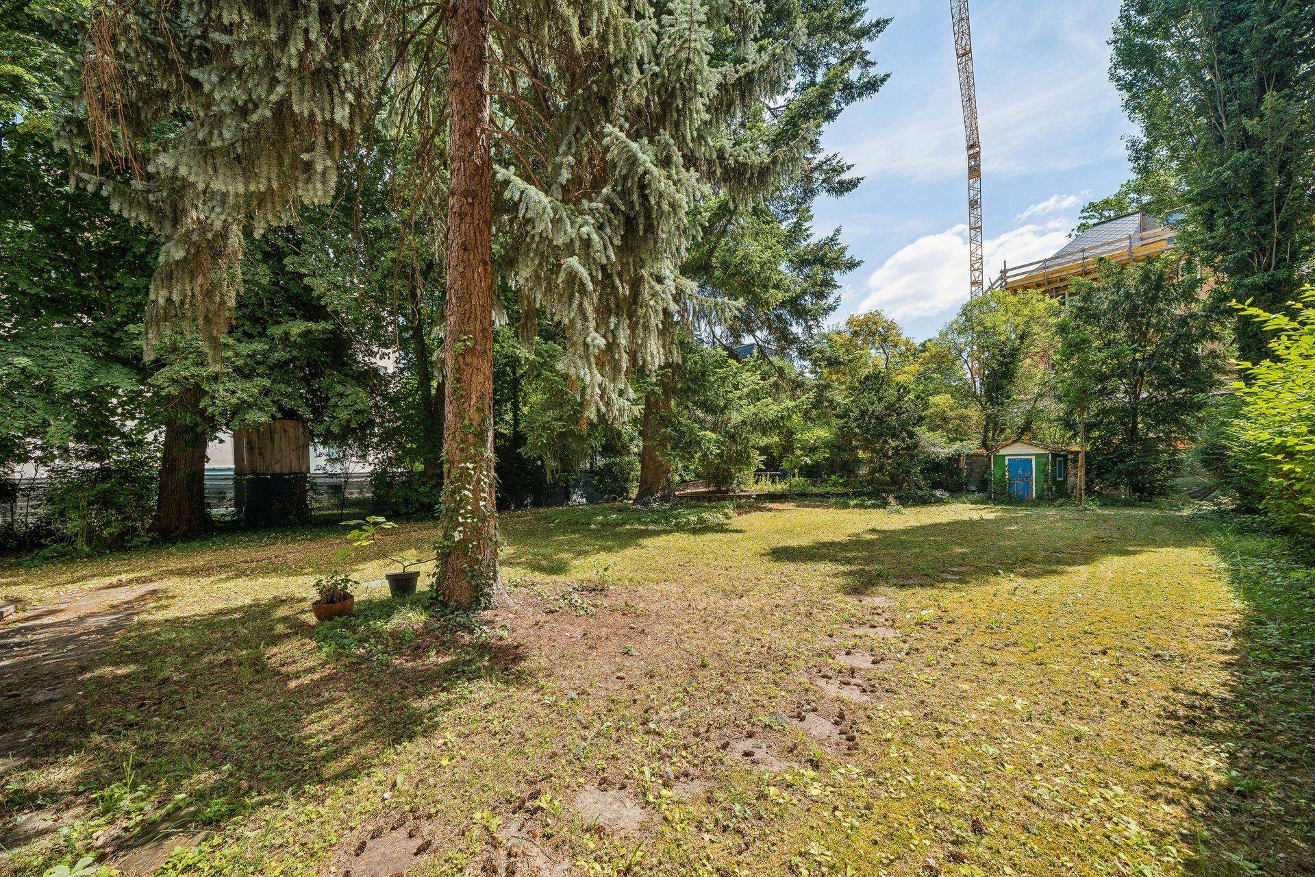 Großer, grüner Garten mit altem Baumbestand und viel Platz zum Entspannen.