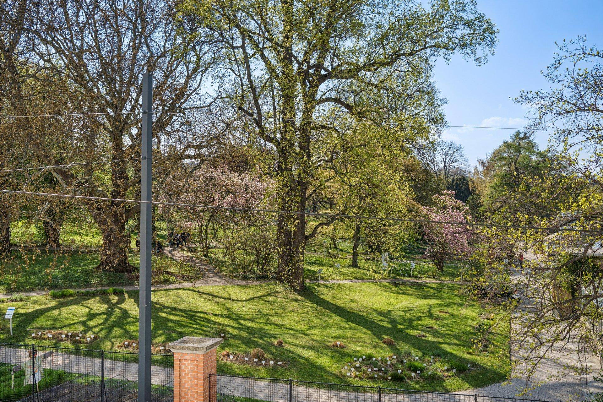 Weitläufiger grüner Park mit alten Bäumen und Spazierwegen unter blauem Himmel.