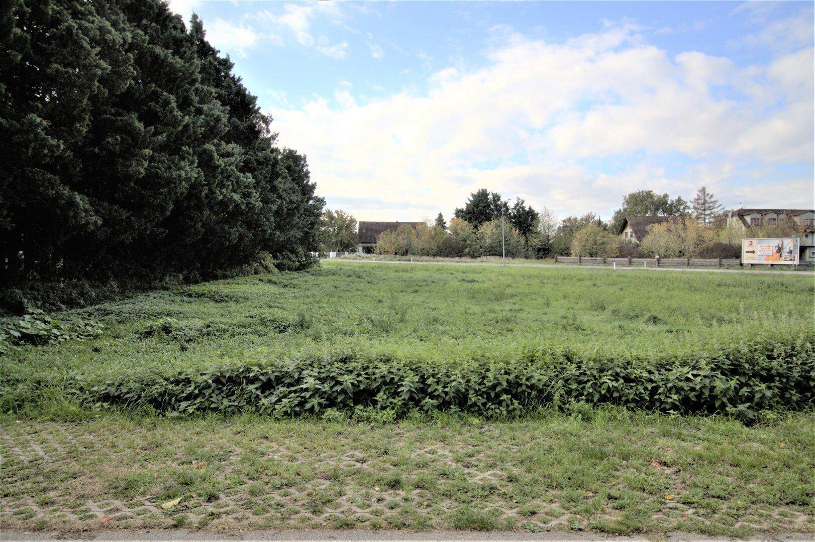 Blick von der Nordseite zum Bauplatz