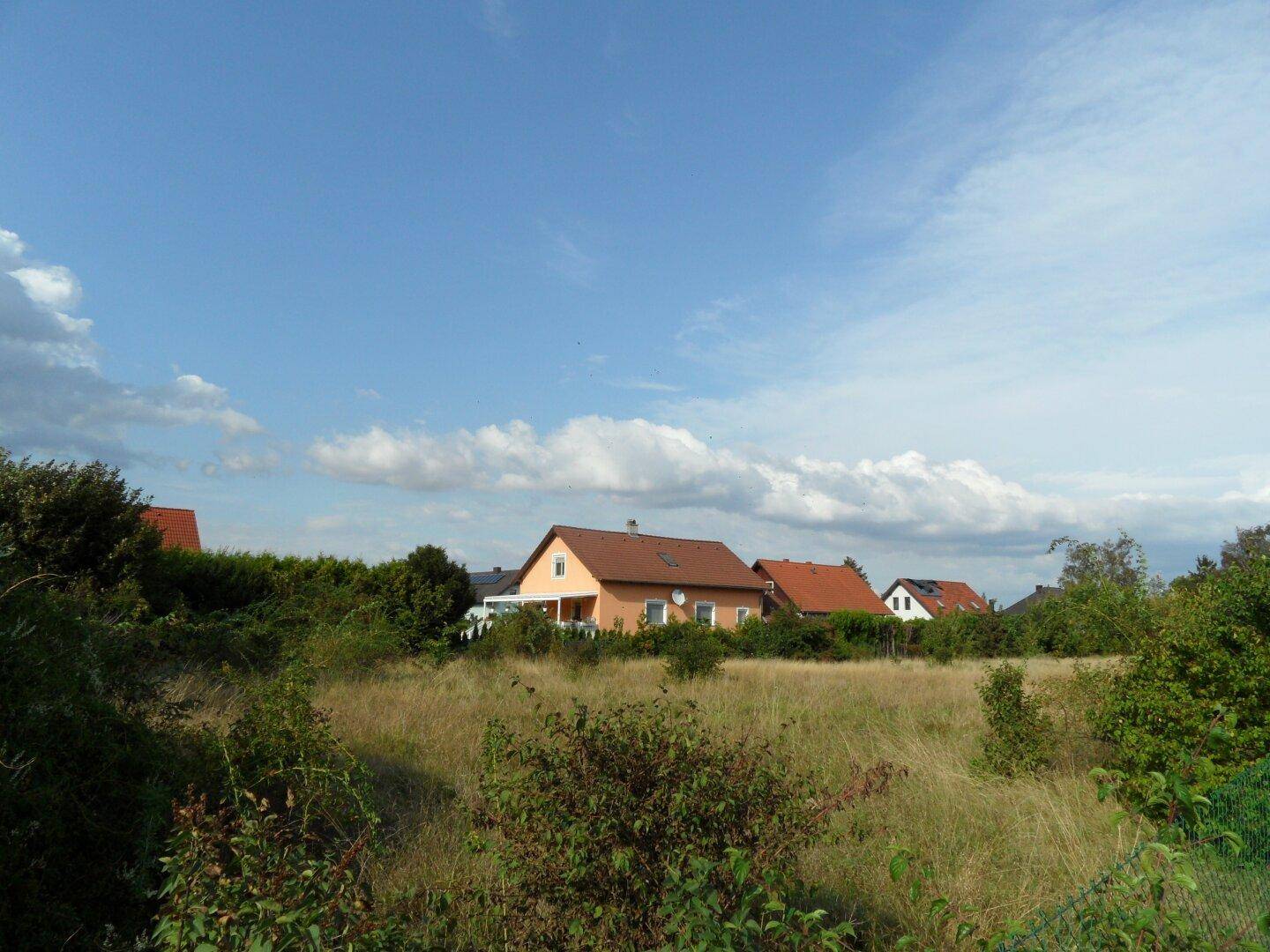 Sonniges, unbebautes Grundstück mit Blick auf die Nachbarhäuser unter blauem Himmel.
