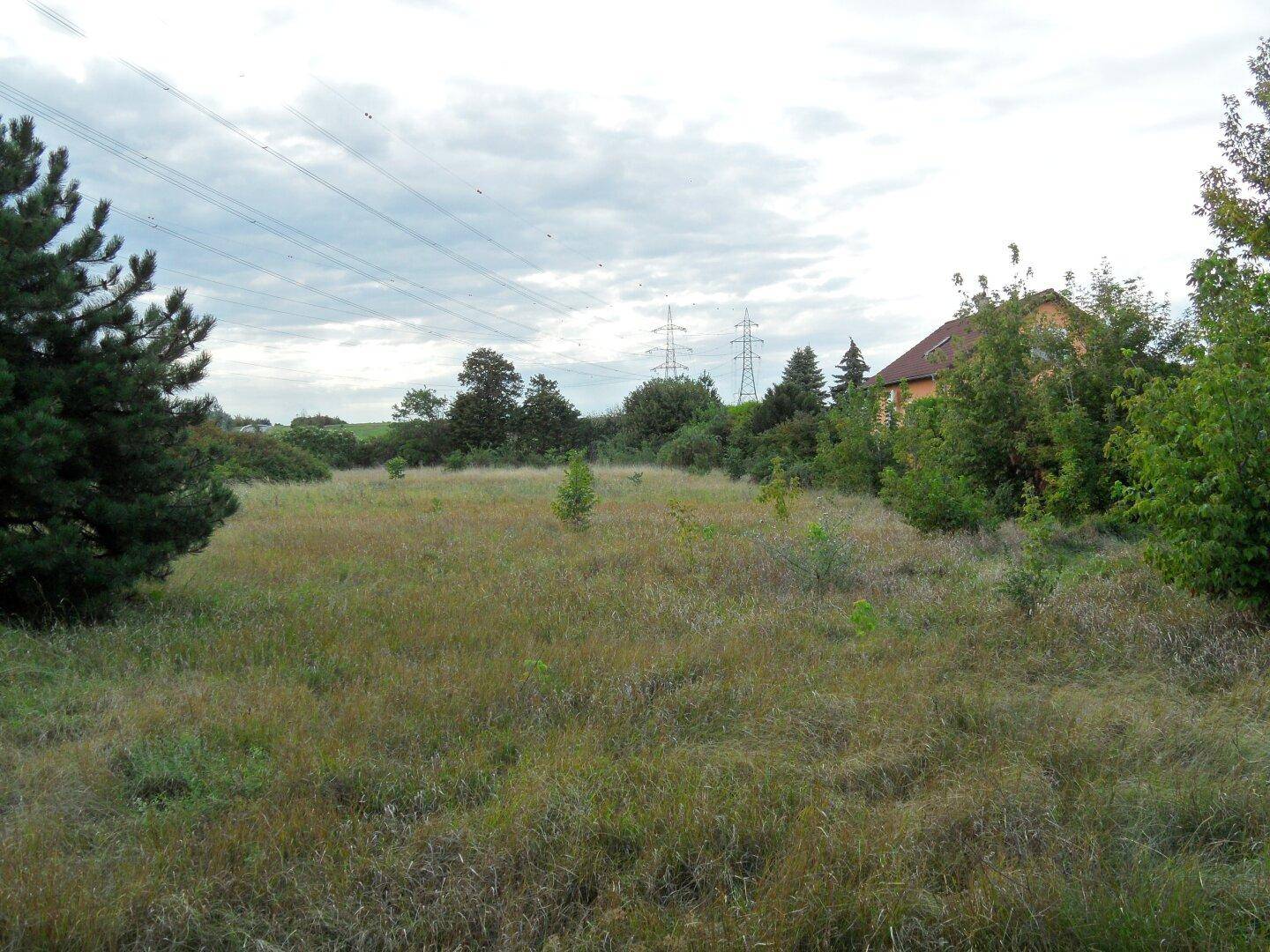 Weitläufiges, unbebautes Feld mit angrenzenden Häusern und Strommasten am Horizont.