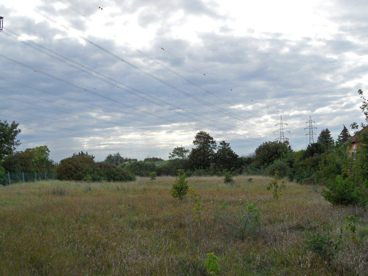 Blick über ein unbebautes Feld mit Häusern und Stromleitungen in der Ferne.
