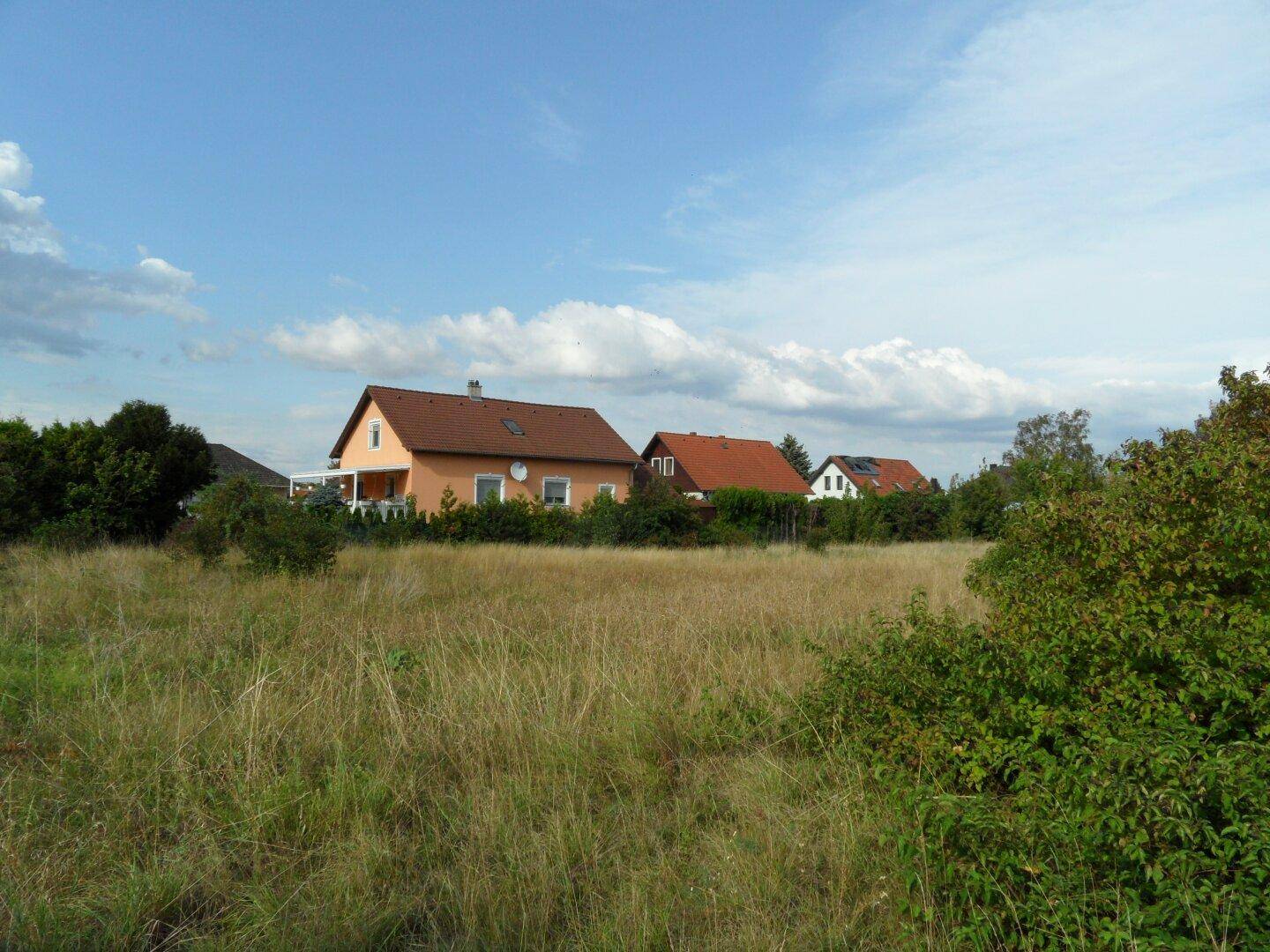 Sonniges, unbebautes Grundstück mit Blick auf die umliegenden Wohnhäuser.