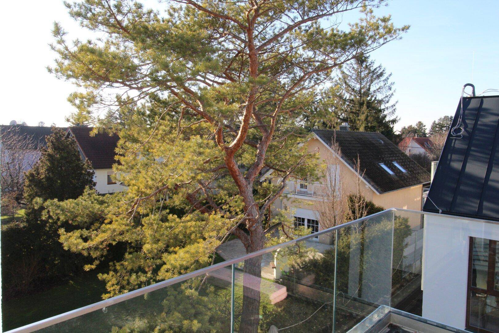 Balkon mit Glasgeländer und Blick auf einen großen Baum sowie umliegende Häuser.