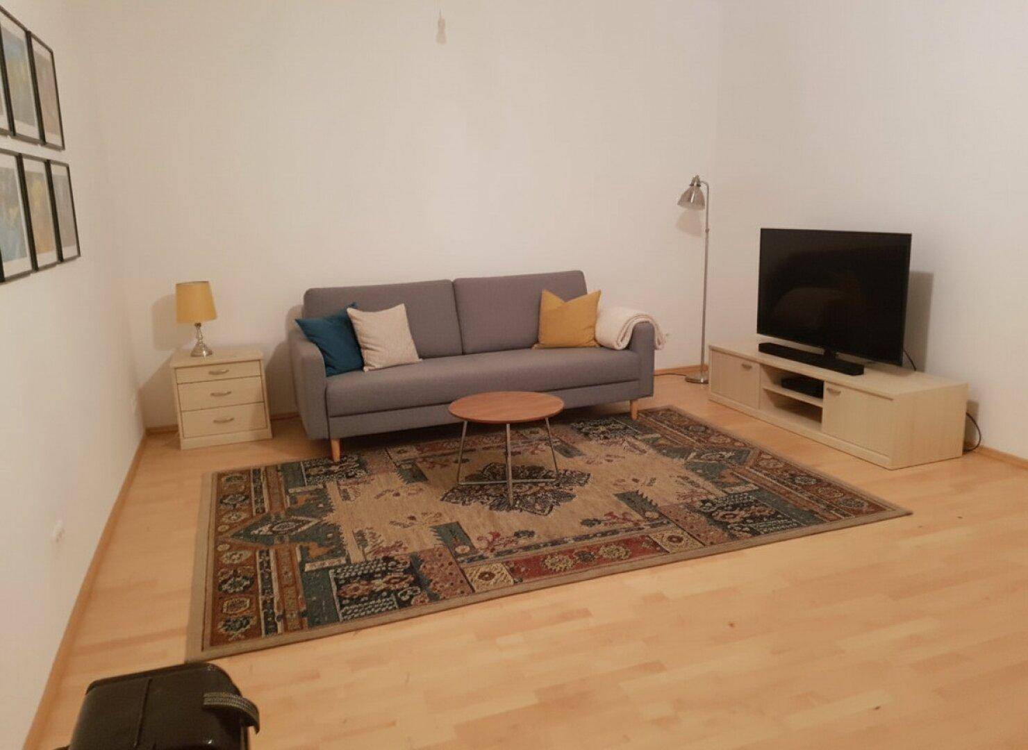 Gemütliches Wohnzimmer mit grauem Sofa, Fernseher und einem farbenfrohen Teppich auf Holzfußboden.