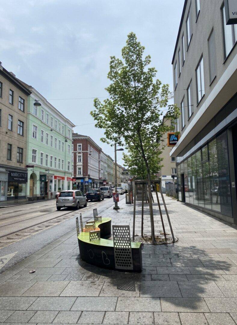 Belebte Stadtansicht mit Gebäuden, Straßenbahn und einem jungen Baum am Gehweg.