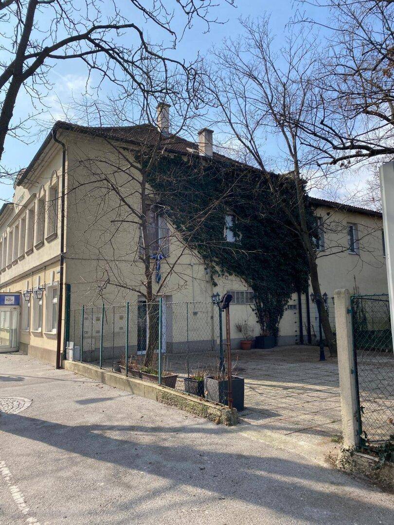 Seitenansicht des Gebäudes mit Efeubewuchs und einem gepflasterten Bereich daneben.