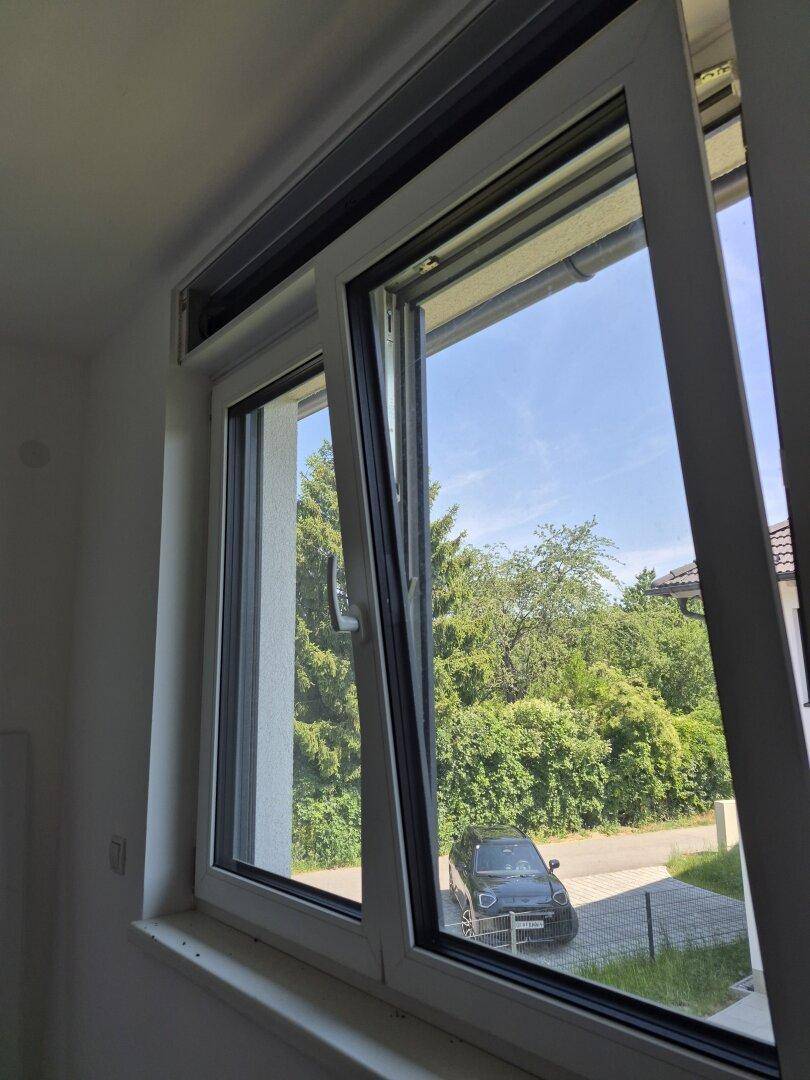 Blick aus einem Fenster auf grüne Bäume und eine ruhige Straße mit einem geparkten Auto.