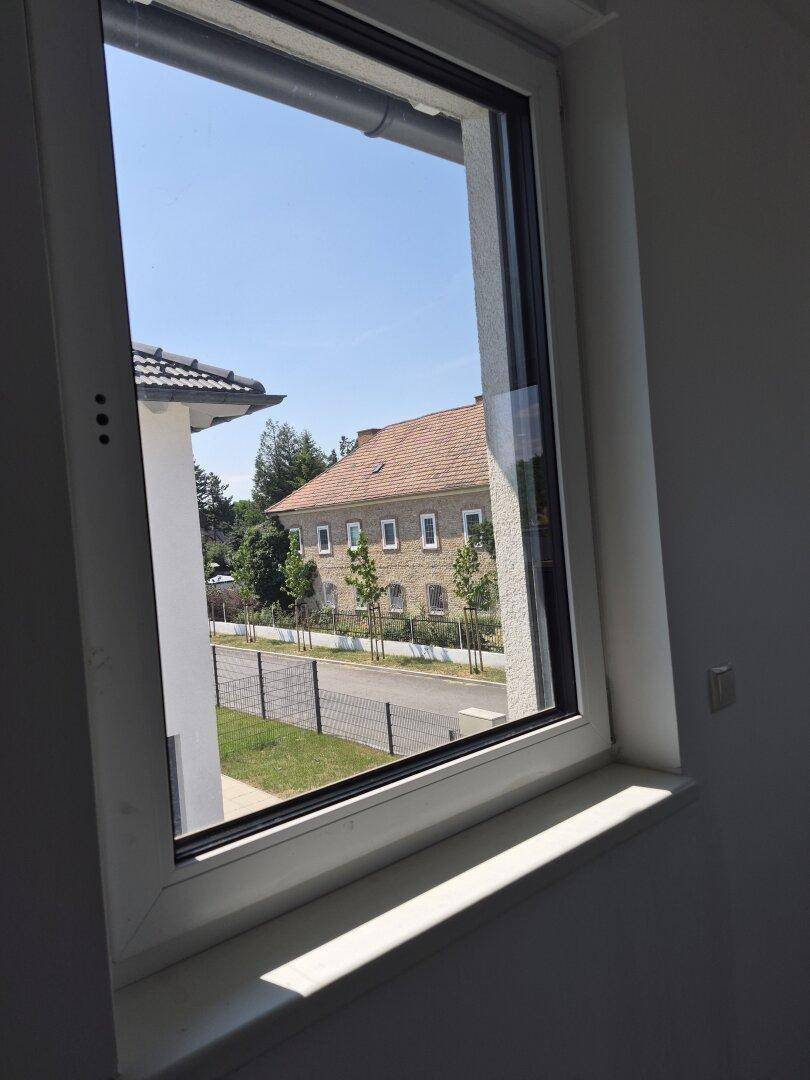 Blick aus einem Fenster auf eine Straße, ein historisches Gebäude und grüne Bäume.