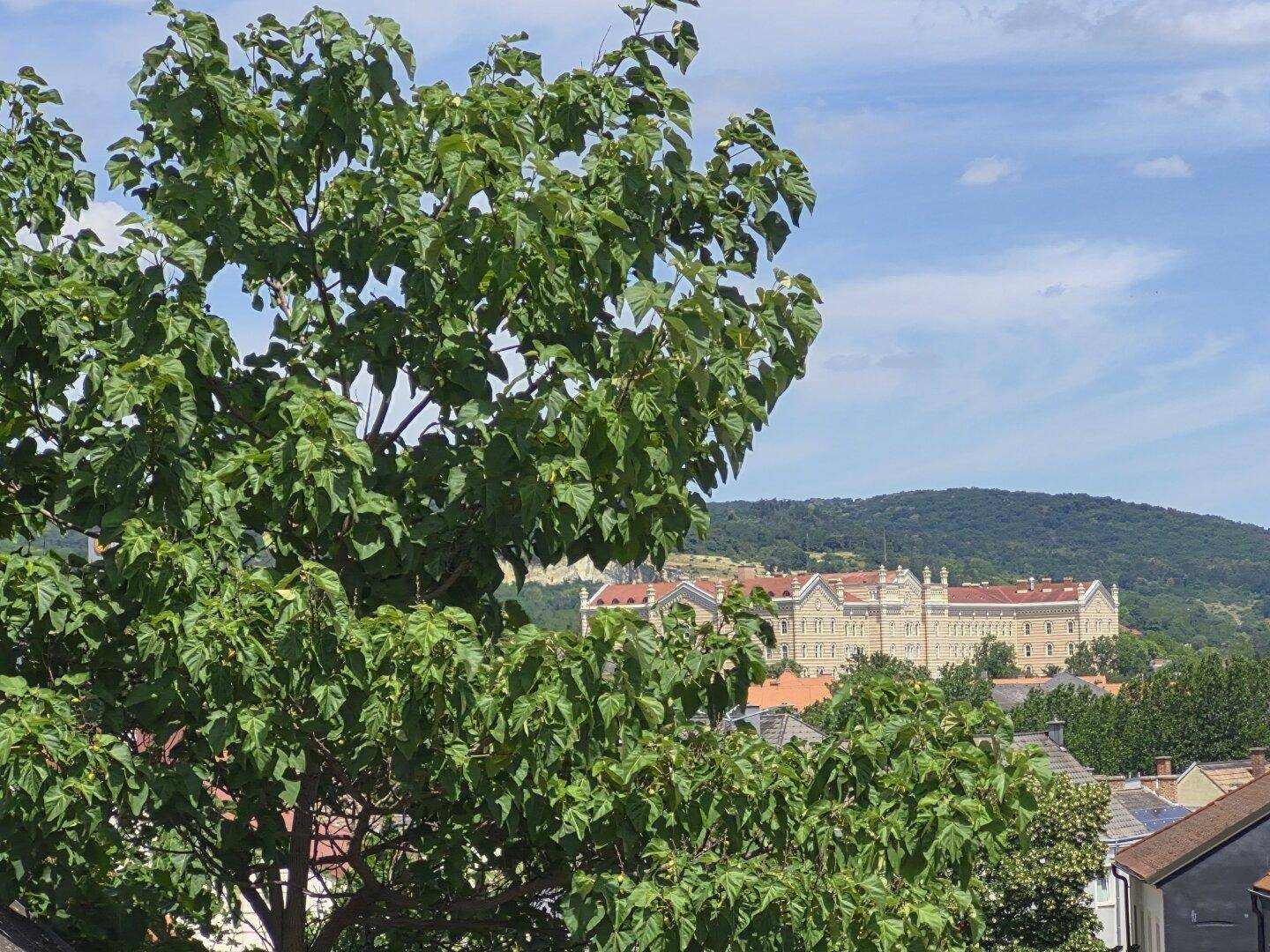 Panoramablick auf ein historisches Gebäude in der Ferne, umgeben von grünen Bäumen.
