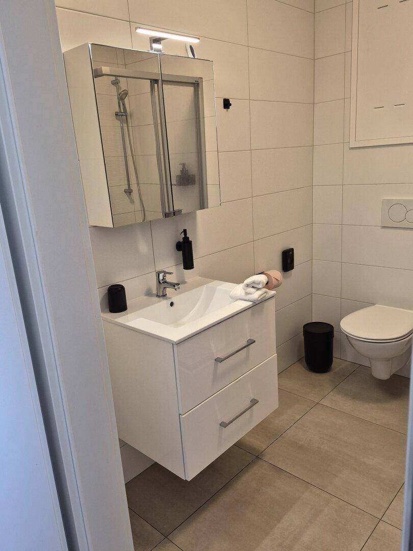 Helles Badezimmer mit modernen Armaturen, wandhängendem WC und Spiegelschrank.