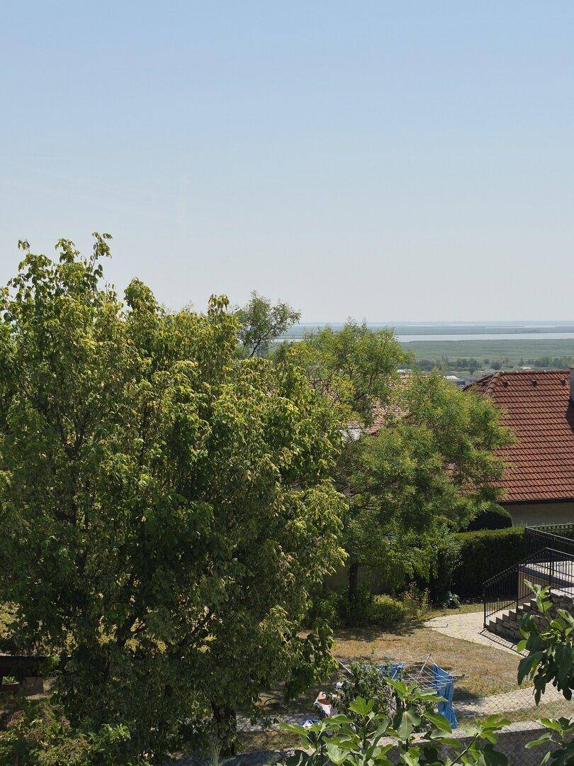Weitläufiger Blick über grüne Bäume und Dächer bis zum Horizont unter blauem Himmel.