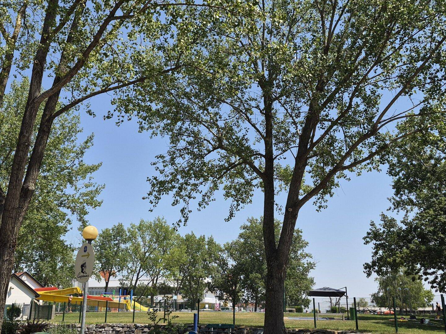 Sonniger Außenbereich mit hohen Bäumen und einem Spielplatz im Hintergrund.