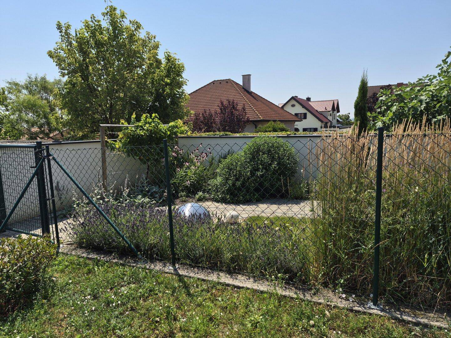 Gepflegter Gartenbereich mit vielfältiger Bepflanzung und einem Zaun, der das Grundstück begrenzt.