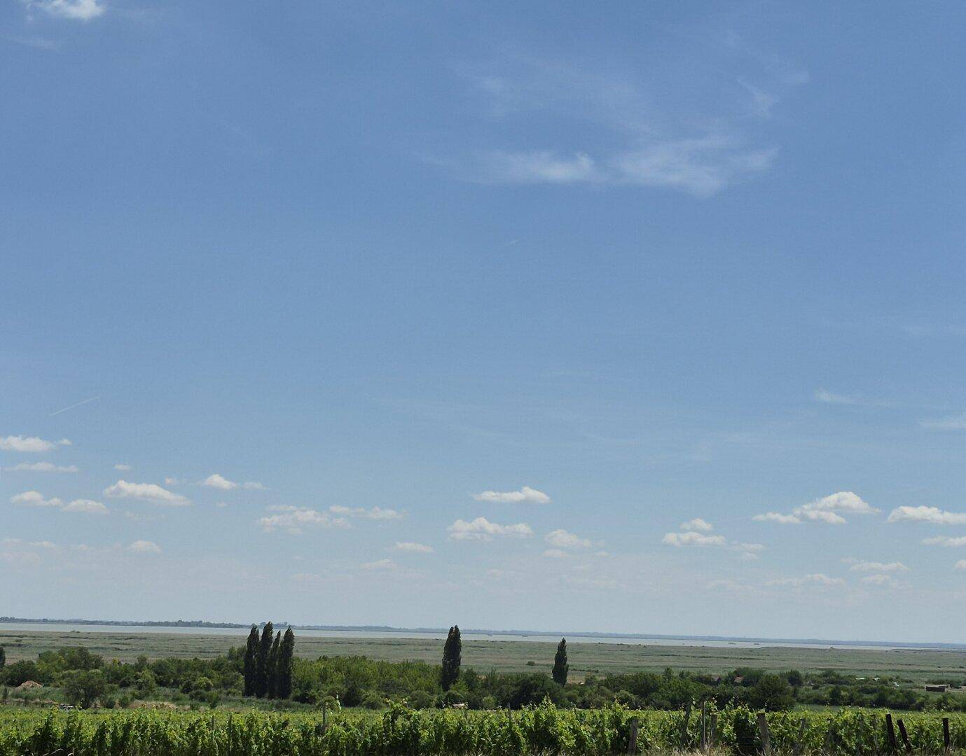 Malerischer Blick auf Weinberge und einen entfernten See unter einem weiten blauen Himmel.