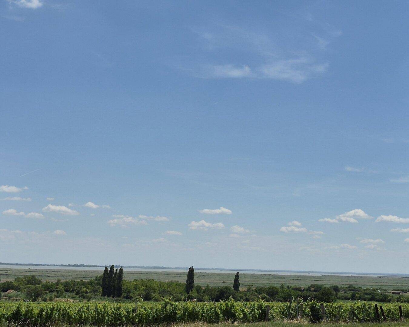 Weitläufige Weinberge mit Blick auf einen See und weite Landschaft unter blauem Himmel.