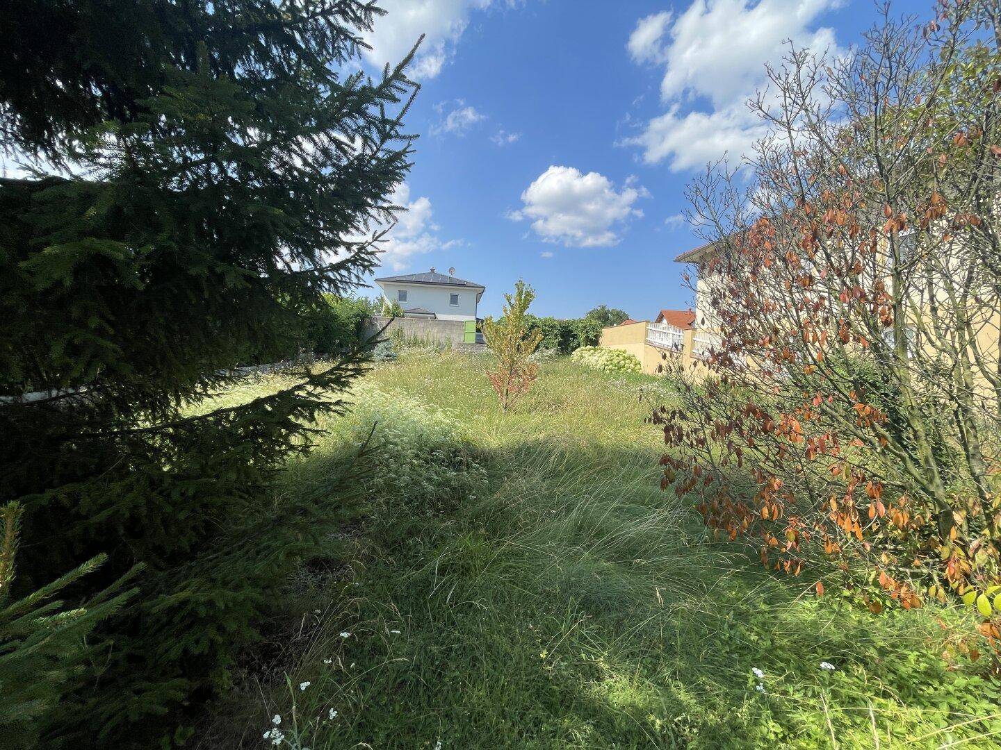 Weitläufiges, naturbelassenes Gartengrundstück mit Blick auf umliegende Häuser und viel Grün.