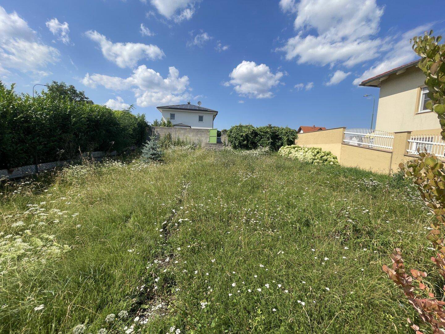 Offenes Gartengrundstück mit hohem Gras und Blick auf die Nachbarschaft unter strahlend blauem Himmel.